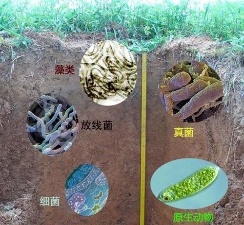 63e091ea7ce98.jpg 微信图片_20230206091656.jpg