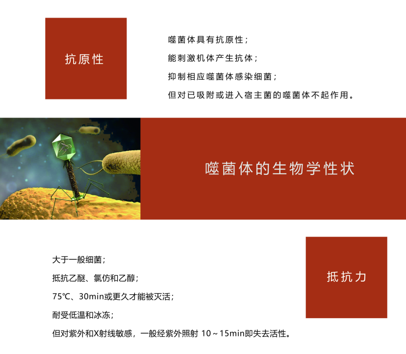 6528ee7d87f99.png C57E56BB-F47E-4735-A7F6-A8028D8BA71C.png