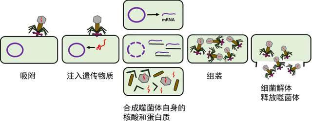 6528f184d102a.png 图片1.png