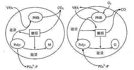 68020c8bcd576.png 生物除磷.png